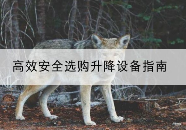 玛多升降货梯厂家推荐-*安全选购升降设备指南