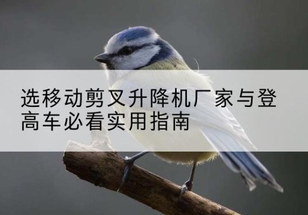 玛多电动升降机厂家-选移动剪叉升降机厂家与登高车必看实用指南